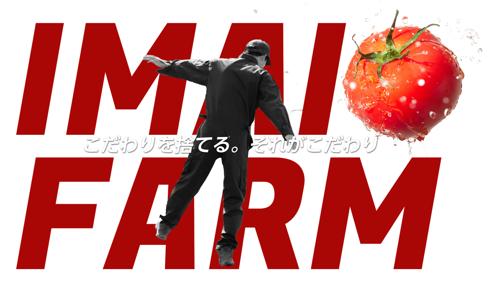 こだわりを捨てる。それがこだわり 山口県周南市鹿野 いまい農園 トマト・わさび生産